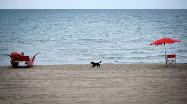 important pentru vacanta la mare nu au voie sa acopere toata plaja cu sezlonguri