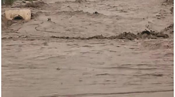 case si masini distruse de inundatii