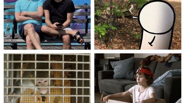 festivalul filmului european a inceput pe unlimited tiff ro