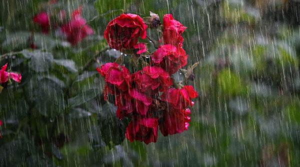 prognoza meteo pe doua saptamani ce temperaturi vor fi in toata tara pana la finalul lunii