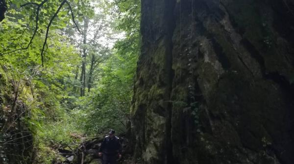 fantoma mireasa si legenda sa ascunsa in intunericul padurii radovan