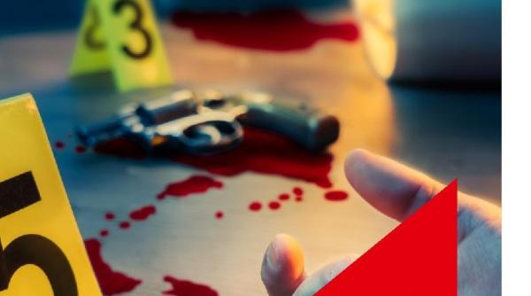 nu ti era dor de un roman politist jurnalul iti aduce miercuri o intriga spectaculoasa asasinat la cracovia de eliza roha