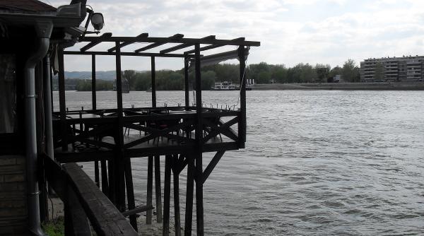 cine raspunde la bucuresti pentru insuccesul in alegeri al comunitatii romanesti din serbia