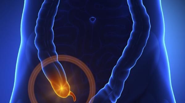 apendicul face parte din apararea imunitara