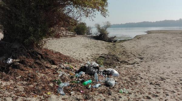 de ziua dunarii voluntarii se pregatesc sa adune plastic