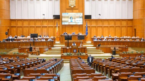 parlamentul a numit noi membri ai conducerii cncd