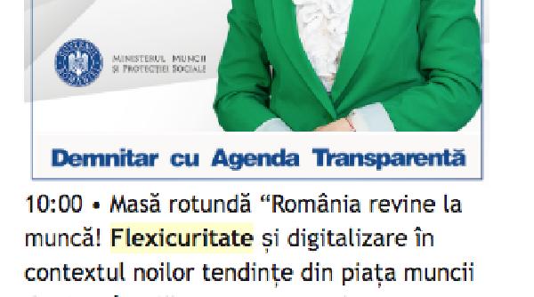 flexicuritate si termometrizare cuvintele stalcite care imbogatesc limba romana