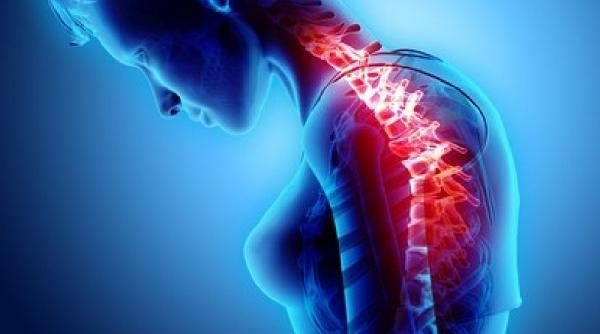 schimbarea balantei hormonale poate afecta vertebrele