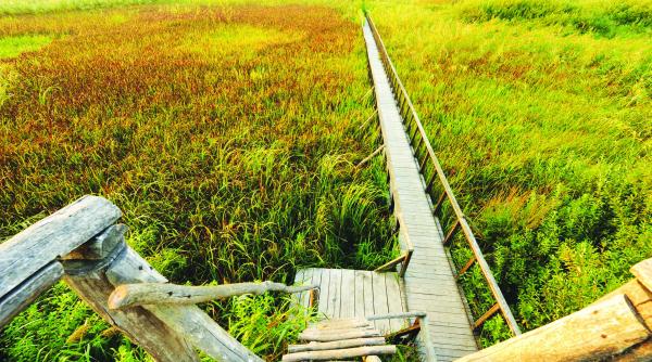 necesitatea drenajelor pe terenurile agricole cu risc de baltire