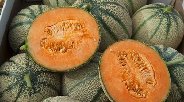 cultura pepenilor galbeni pe verticala dupa o tehnologie inventata de un roman