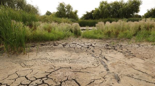 autoritatile lasa de izbeliste parcul natural vacaresti