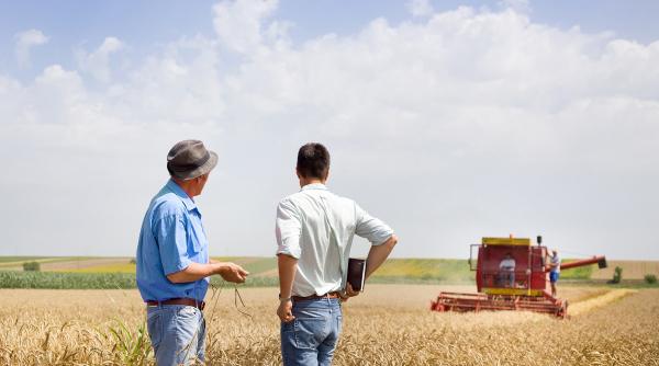 angajarile in agricultura si in industria alimentara stimulate financiar