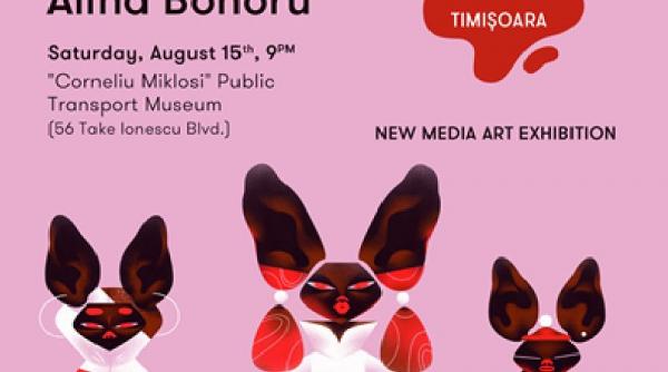 expozitia de new media art one night gallery pe 15 august la timisoara