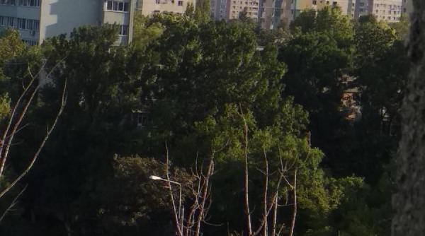 incendiu de vegetatie in capitala opt autospeciale de stingere la fata locului