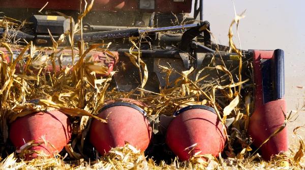 romania vulnerabila importurile agroalimentare doboara record dupa record