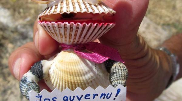 pamflete politice din sarma si scoici