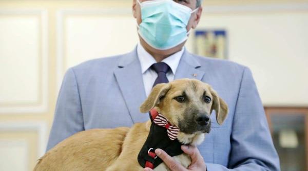 politia animalelor chemata prin 112 ca un smurd