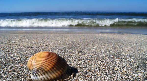 din septembrie vacantele la mare se ieftinesc preturile pe litoral scad si cu 40