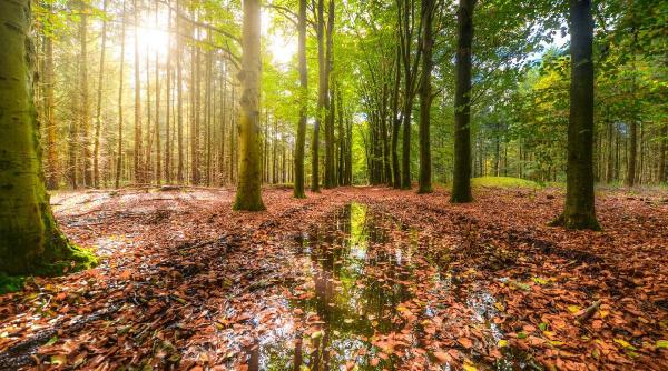 prognoza meteo pentru perioada 31 august 13 septembrie schimbare radicala a vremii