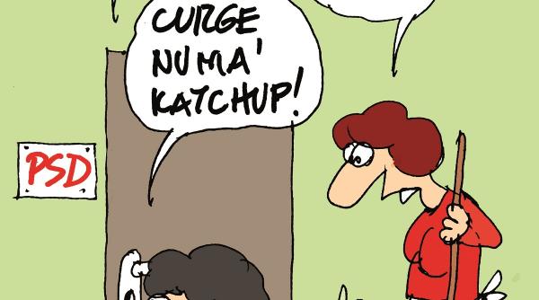 razboi total in psd dupa esecul motiunii de cenzura demisii si acuzatii taioase