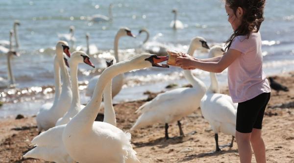 horoscop saptamanal 7 13 septembrie balantele muncesc mai mult decat in mod normal