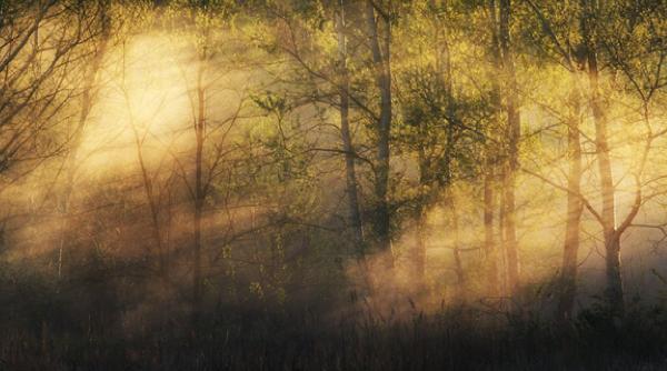 premiera mondiala partituri fotografice cand lumina din fotografiile lui andrei baciu inspira muzicieni polonezi