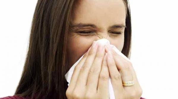 un aliment mult indragit un antibiotic natural si eficient