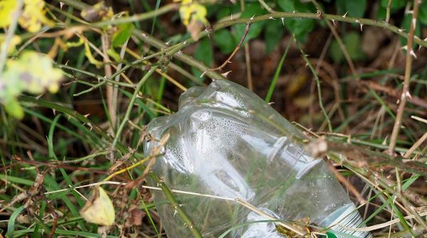 reciclarea reprezinta 12 miliarde de euro din pib ul romaniei