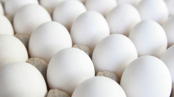 3 alimente care protejeaza impotriva grasimii periculoase acumulate pe abdomen