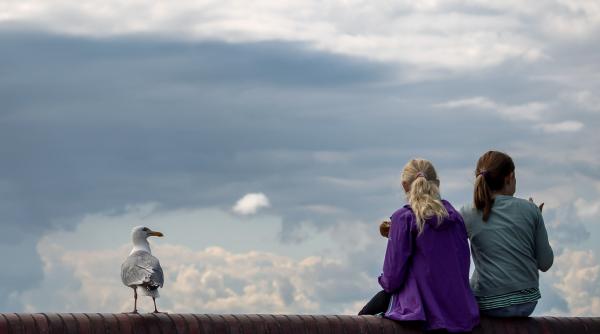 marte retrograd 9 septembrie 13 noiembrie 2020 ce inseamna pentru dragoste relatii si viata