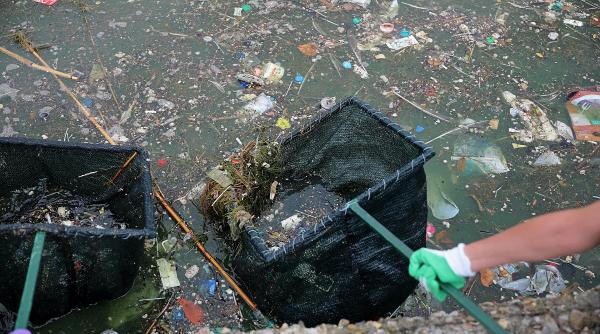 constanta lacul tabacariei a pierdut 4 tone de gunoi