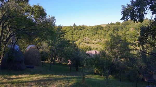 focurile vii de la dealu frumos