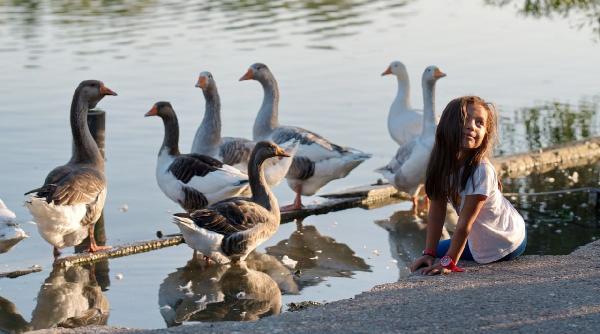 horoscop zilnic 25 septembrie scorpionii nu reusesc sa isi gaseasca linistea