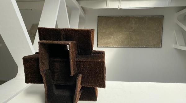 kunsthalle bega prezinta sensul sculpturii