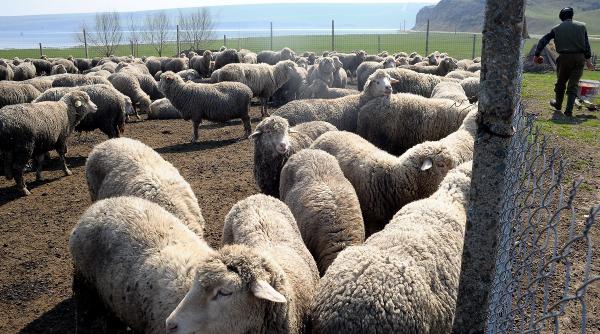 incepe luna cadourilor pentru fermierii activi