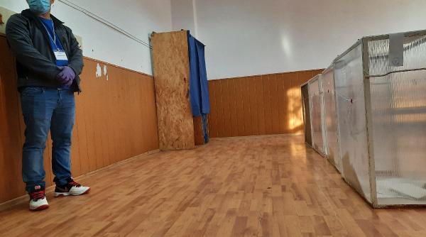 despre vie vaci si vot la cuca macai