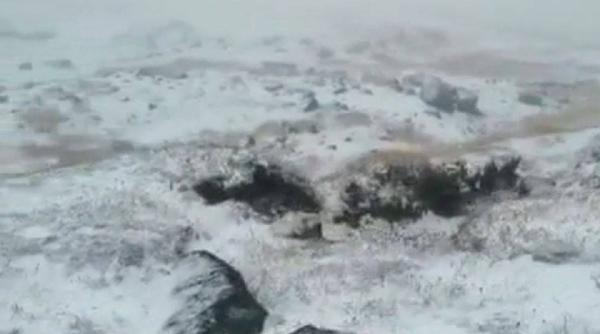 prima ninsoare din acest an la varful omu zapada s a asternut deja