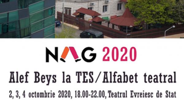 noaptea alba a galeriilor la teatrul evreiesc de stat