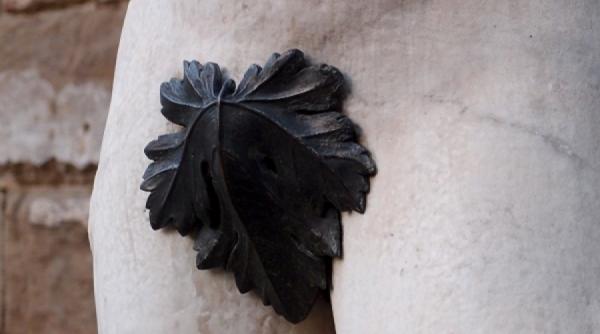 solutie pentru disfunctia erectila o proteza capabila sa declanseze erectia