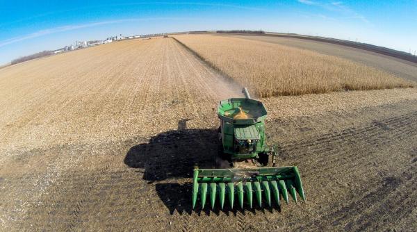 situatie dramatica in agricultura 2 1 milioane de hectare afectate de seceta