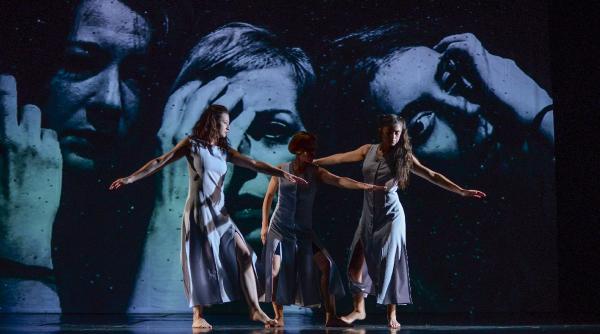 burqa si basma premiera la teatrul municipal baia mare