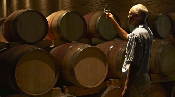 guvernare industria cosurilor impletite salvata afaceri de 5 miliarde lasate sa moara