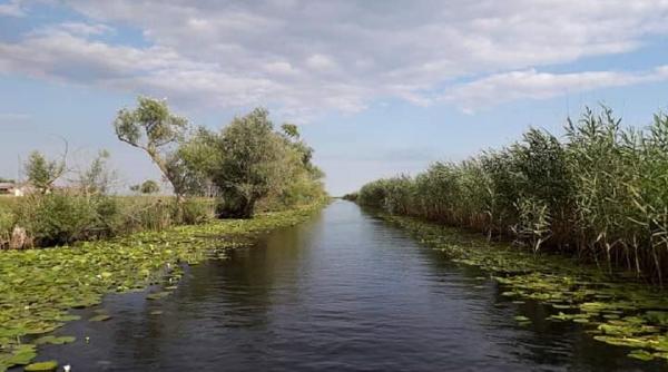 izolare in padurea letea din delta dunarii