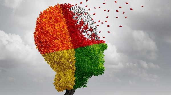 harta statelor ue afectate de pandemie cum se delimiteaza zonele