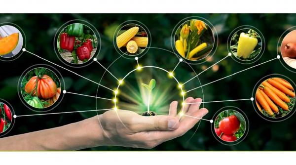 de ce sa alegi fungicide de la esenzi