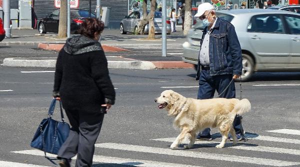 cutu si pisi in pandemie cresc adoptiile