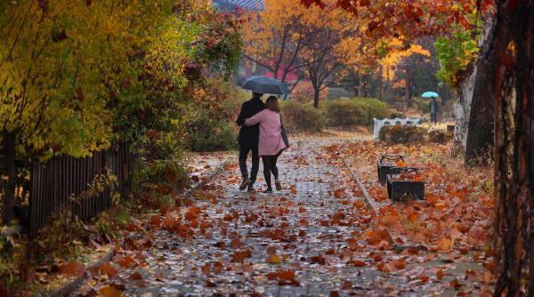 horoscop de weekend 14 15 noiembrie scorpionii reusesc sa atarga doar lucruri bune de partea lor