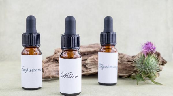 terapia florala un ajutor i n perioadele de stres