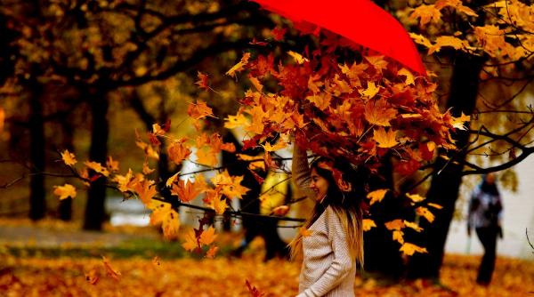 horoscop zilnic 20 noiembrie racii nu reusesc sa tina pasul cu schimbarile