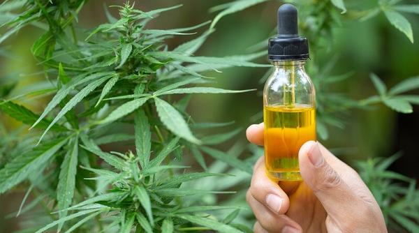 tot ce trebuie sa stii despre cbd